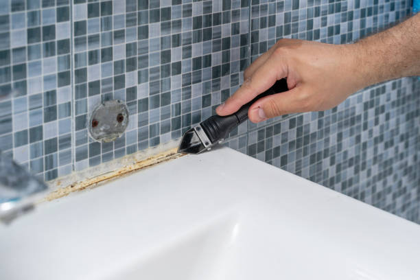 Best Home Mold Removal  in Mcewen, TN
